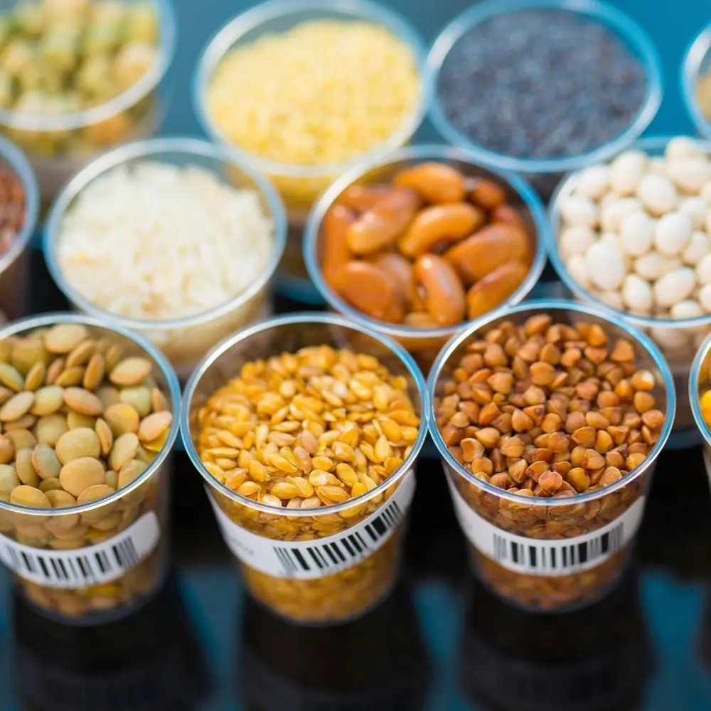 TÇTİ TOHUM HAZIRLAMA, İLAÇLAMA PAKETLEMEDE TARIMSAL TESİS İŞLETME BAKIM ONARIMCI