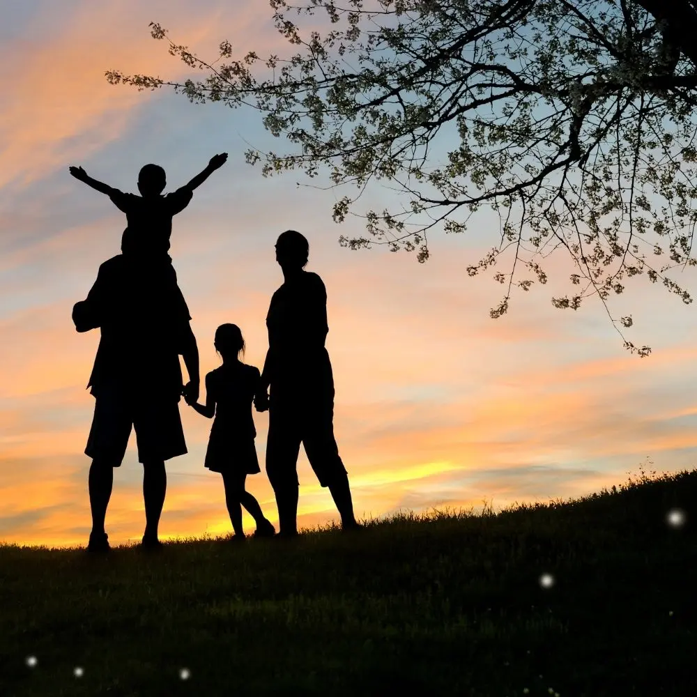 AİLE VE SOSYAL YAŞAM DANIŞMANLIĞI EĞİTİMİ